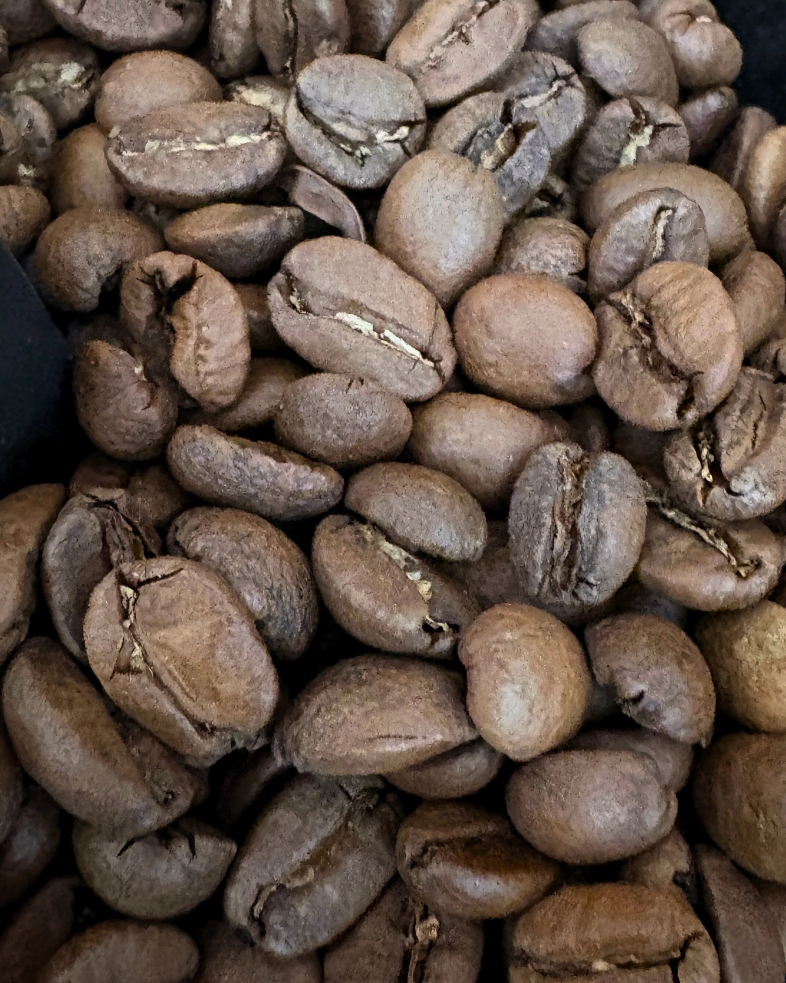 Foundry Blend Coffee | Born & Bred - Image 6