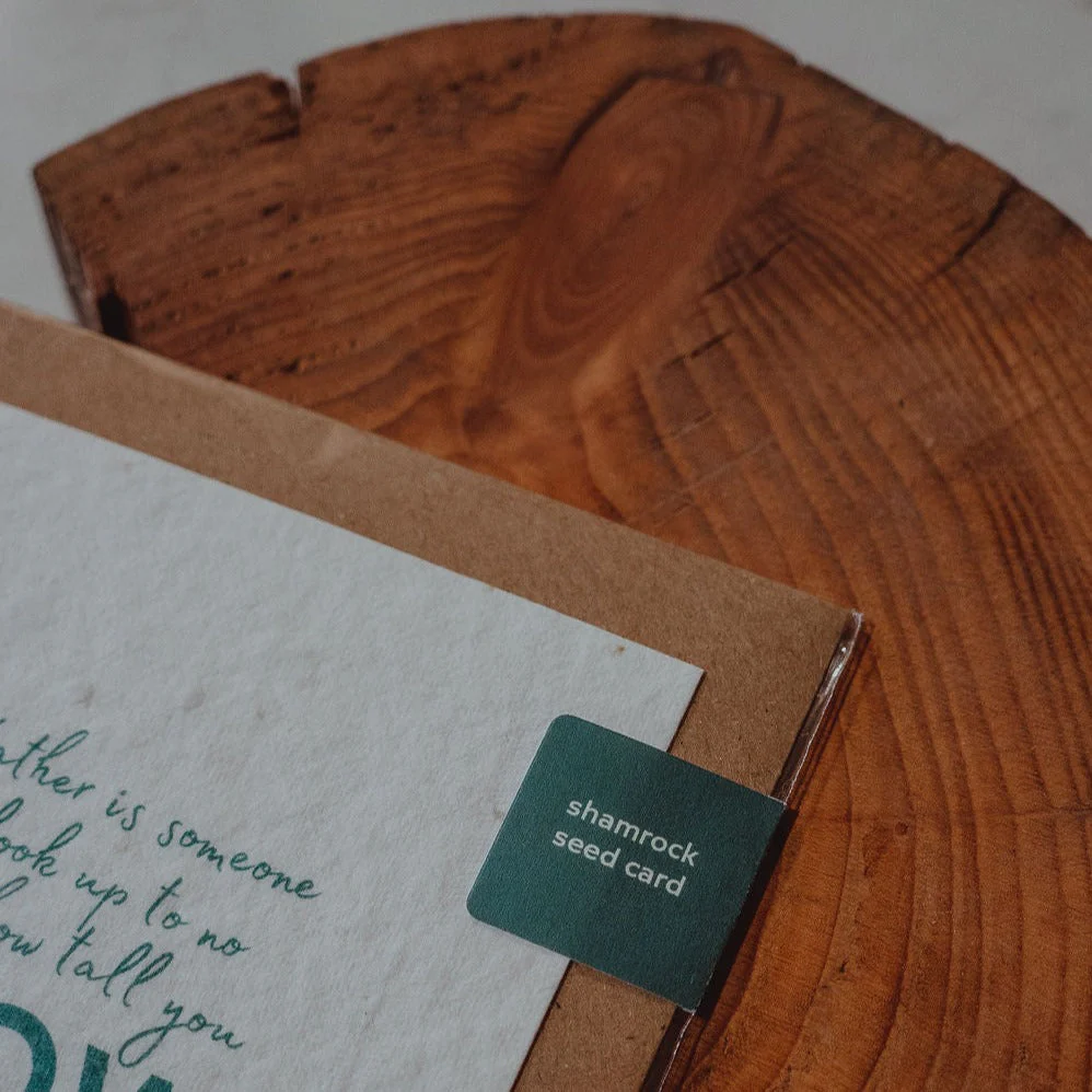May Your Troubles Be Less | Shamrock Seed Card | Born & Bred - Image 5